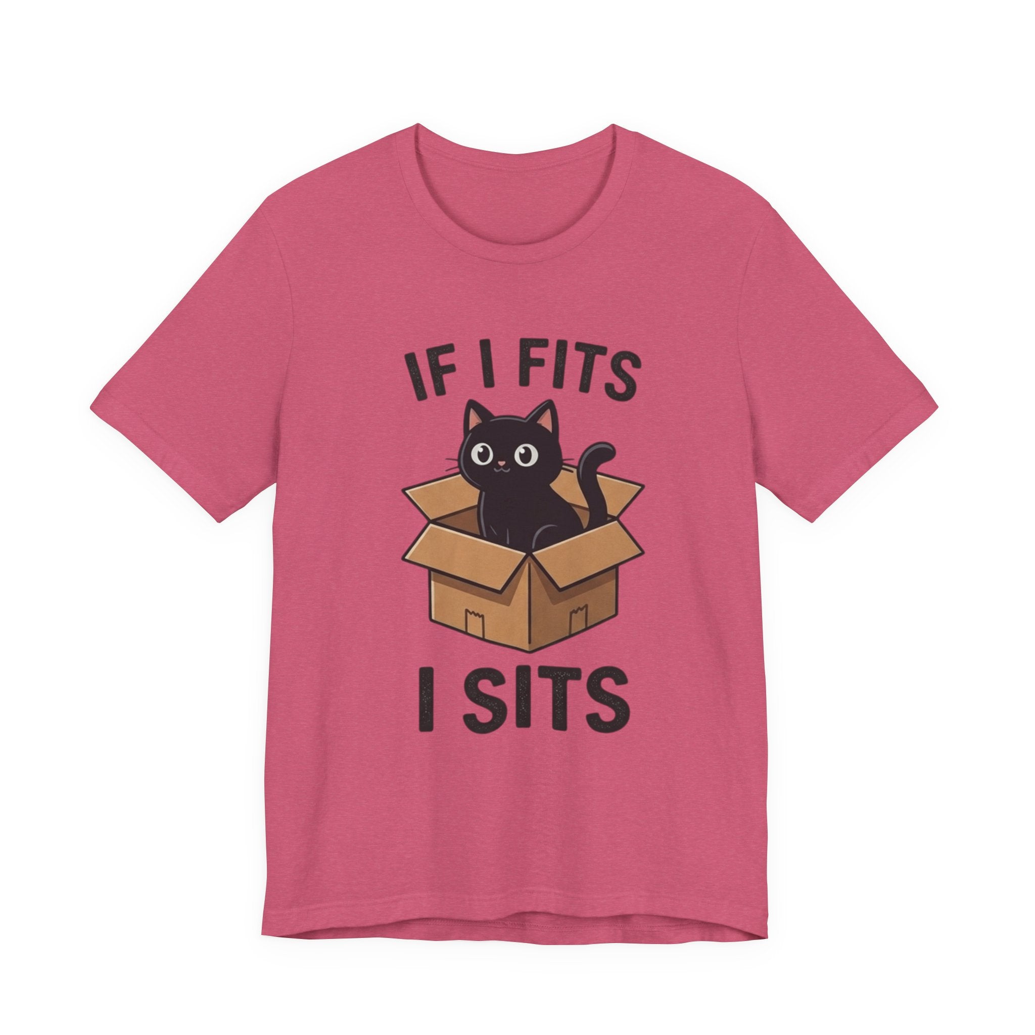 If I Fits I Sits Cat T-Shirt – Cute Black Cat in Box Funny Tee