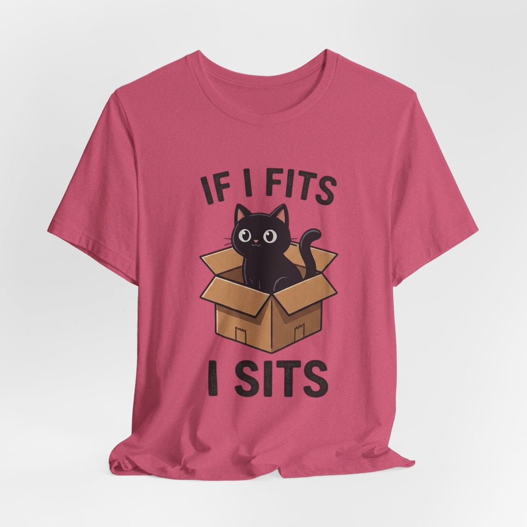 If I Fits I Sits Cat T-Shirt – Cute Black Cat in Box Funny Tee