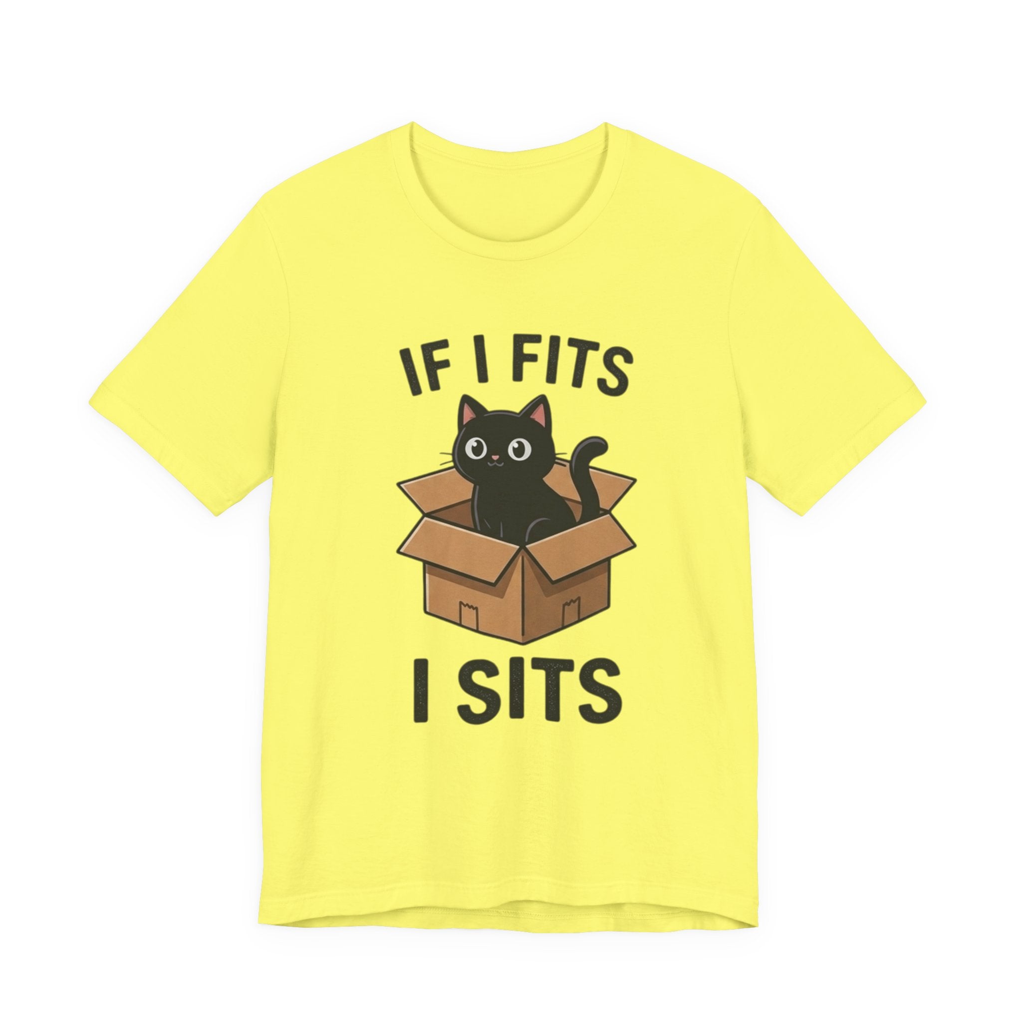 If I Fits I Sits Cat T-Shirt – Cute Black Cat in Box Funny Tee